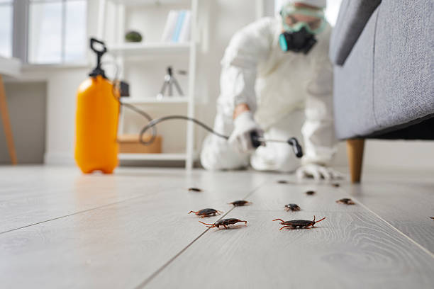 Post-Treatment Bed Bug Interceptor Monitoring in Sheridan
